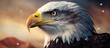 A Bald Eagle, a Bird of prey from Family Accipitridae, Order Falconiformes or Accipitriformes, with a yellow beak, is staring at the camera