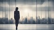 © insideFairy - silhouette of business woman overlooking a city skyline