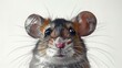  a close up of a mouse's face with it's eyes wide open and one eye wide open.