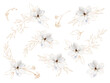 Set of White magnolia flower with golden leaves isolated on transparent background. Floral luxury design for greeting cards. Elegant botanical element for pattern, frame. Greenery wedding invitation