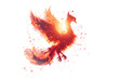 Mythical Phoenix Rising in Flames - Fantasy Bird Illustration- Isolated on White Transparent Background PNG
