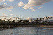 Looking over Stearns Wharf in Santa Barbara, California at sunset on a beautiful day with palm trees in silhouette 