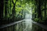 Fototapeta Natura - Wet road in forest on rainy day, surrounded by trees, grass, and watercourses