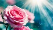 fantasy mysterious spring floral banner with blooming pink rose flowers on blurred blue background and sun rays