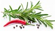 fresh green organic rosemary leaves and peper isolated on white background transparent background and natural transparent shadow ingredient spice for cooking collection for design
