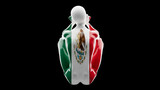 Fototapeta Zwierzęta - Graceful Silhouette Wrapped in the Vibrant Mexican Flag, Emblematic Artwork