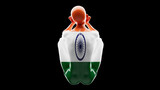 Fototapeta Zwierzęta - Elegant Silhouette Draped in the Tricolor of India's National Flag
