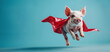 flying pig with a superhero cape on blue background