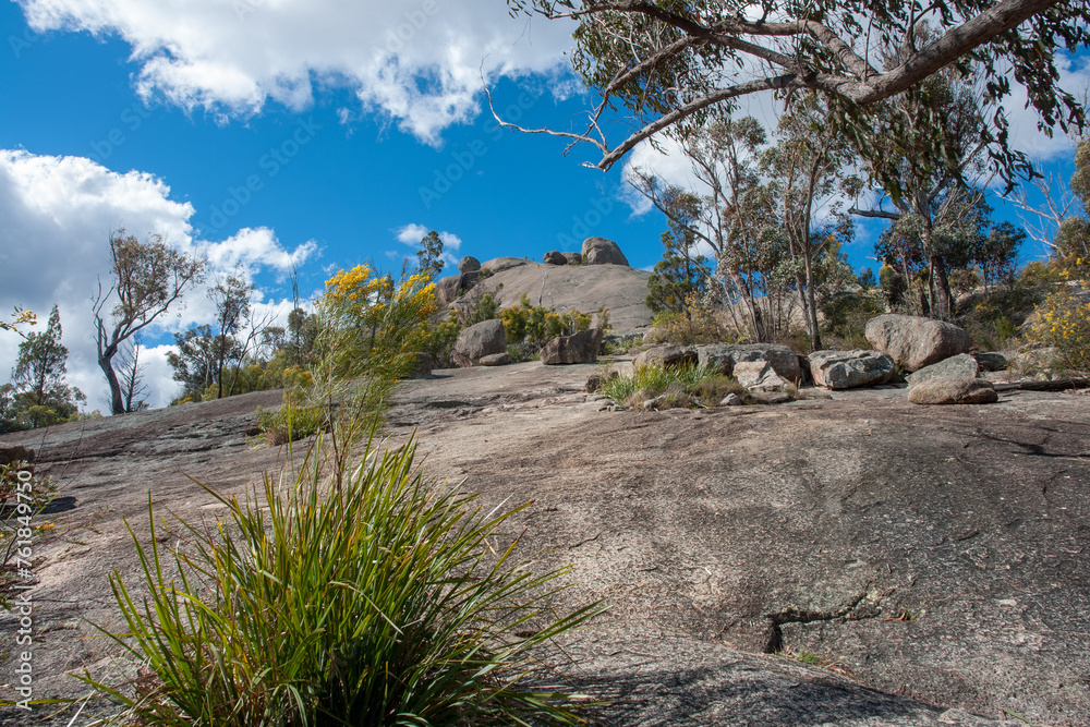 Exploring the National Parks of the Granite Belt (Girraween, Bald Rock ...
