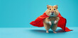 flying hamster with a superhero cape on blue background