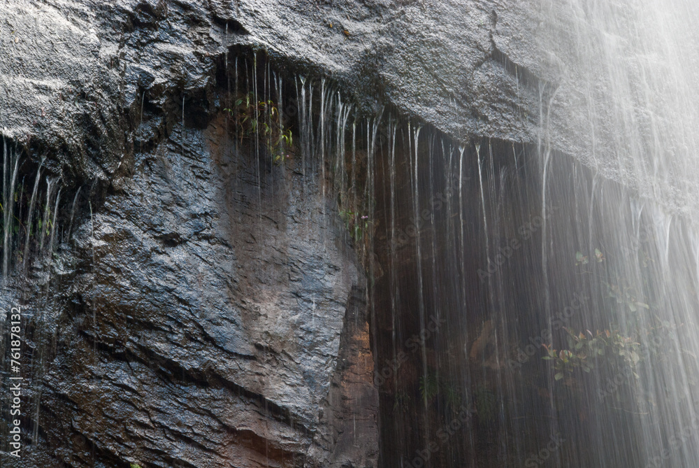 Springbrook Australia Hiking the waterfall circuit in Springbrook National Park, Queensland ...