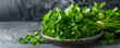 parsley on clean modern kitchen table, on plate banner with copy space