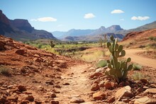 A Cactus Thrives By A Dirt Road In The Desert Under A Clear Blue Sky