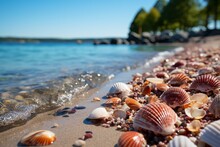 Azure Sea Shells On Sandy Beach Near Water, A Natural Material