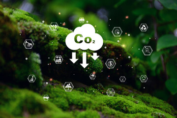 Wall Mural - icon reduce co2 emission concept on green leaves sustainable development,