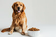 Dog Enjoying a Hearty Meal. Smiling happy dog standing in front of bowl with dog food on plain background. Generative AI