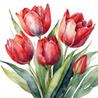 watercolor red tulip flowers bouquet on white background