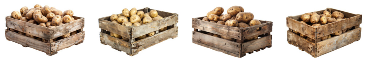 Wall Mural - potatoes in crates isolated