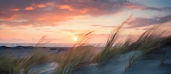 Sticker - Serene Coastal Landscape: Sunset Glow on Beach with Tranquil Grass and Sand Dunes