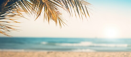 Canvas Print - Sun shining through palm trees on tropical beach