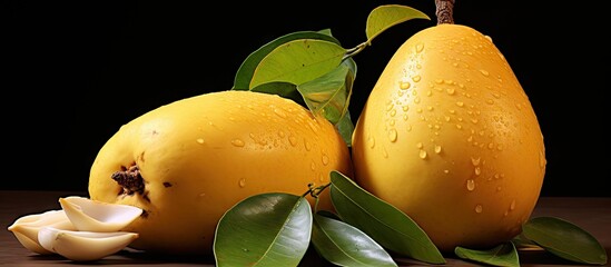 Poster - Two pears with leaves covered in water droplets