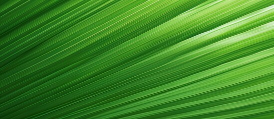 Sticker - Close-up of a vibrant green leaf