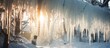 Enchanting Winter Wonderland: Frozen Forest with Icicles Dangling from Glistening Branches