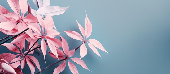 Wall Mural - Pink leaves on blue backdrop