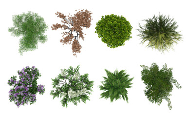 realistic top view trees and plants