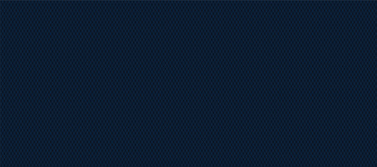 Abstract blue pattern banner template. Line texture background. The landing page blurred cover.