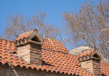 Fototapeta  - brick chimneys on tiled roof. historical  building.
