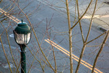 Fototapeta  - Lamp post and tree on the street