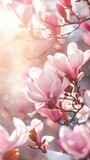 Fototapeta Lawenda - Delicate Pink Magnolia Blossoms Against a Serene Sky During Springtime