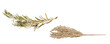 Isolated gilded twig for New Year and dried green pine twig decorations on a white background
