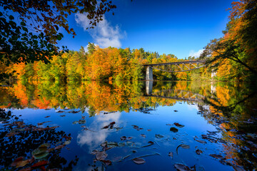 Fototapete - Autumnal landscape of the forest in Kashubia. Poland