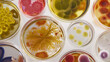 Colorful bacterial colonies in Petri dishes showcasing scientific research aesthetics.