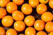 fresh ripe cumquat or kumquat fruit on wooden table.