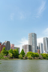 Sticker - Ueno Park Shinobazu Pond and skyscraper at spring in Tokyo, Japan