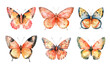 Peach, orange watercolor aquarelle butterfly set butterflies isolated on transparent background clipart