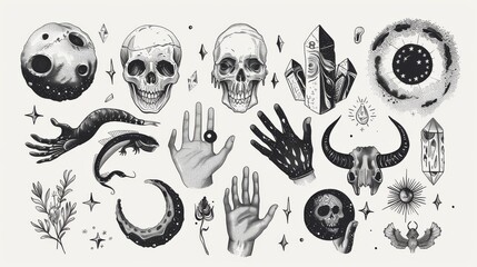 Hand drawn illustrations of skulls, animals, space objects, magic balls, crystals, hands made in the style of mystical and mysterious illustrations.