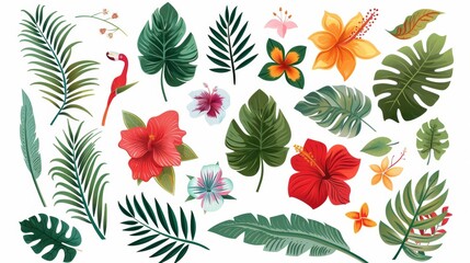 Wall Mural - A tropical collection of exotic flowers and leaves isolated on white background. Modern design.