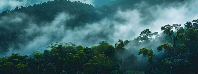 Wall Mural - Panoramic view of misty rainforest trees with fog and rays, showcasing the natural beauty of a lush tropical rainforest canopy. Drone view with copy space.