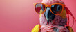A detailed close-up image of a parrot with bold orange sunglasses introduces a playful vibe against a pink background