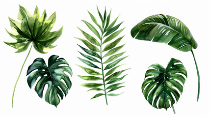 Sticker - collection of watercolor of exotic plants and palm leaves.