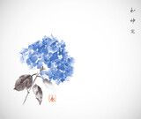Fototapeta Sypialnia - Ink painting of blue hydrangea flowers on white background. Traditional oriental ink painting sumi-e, u-sin, go-hua. Hieroglyphs - harmony, spirit, perfection, eternity