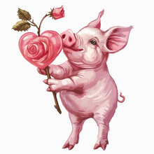 Valentines Pig Clipart Isolated On White Background