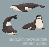 Fototapeta Pokój dzieciecy - Mediterranean Monk Seal Cartoon Vector Illustration