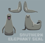 Fototapeta Pokój dzieciecy - Southern Elephant Seal Cartoon Vector Illustration