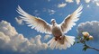 A free flying white dove isolated on a sky background