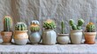 Assorted cacti collection in unique pottery on textured background